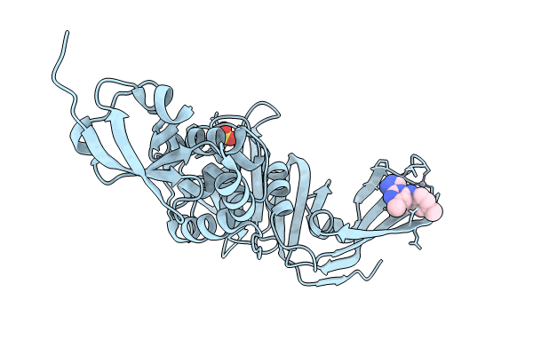 9BRX image