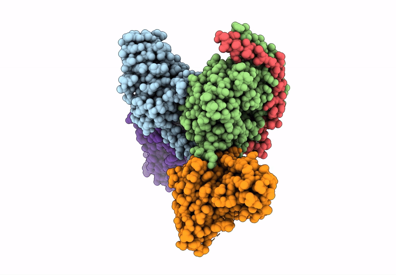 9BSB image
