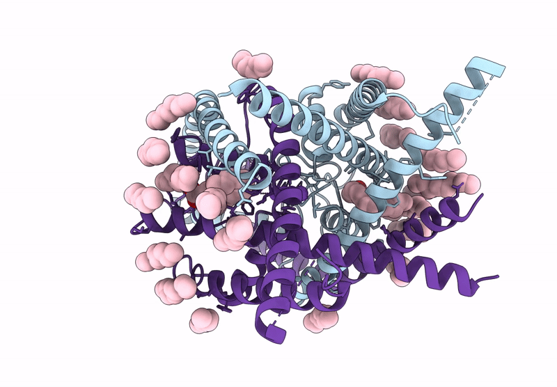 9BSN image