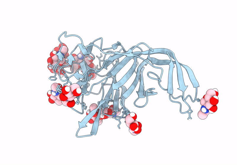 9BT2 image
