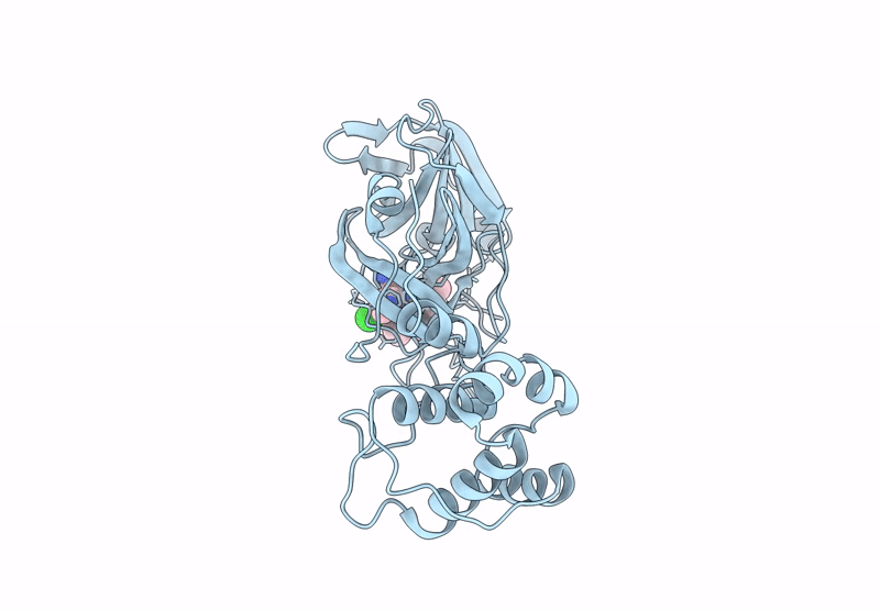 9BTT image