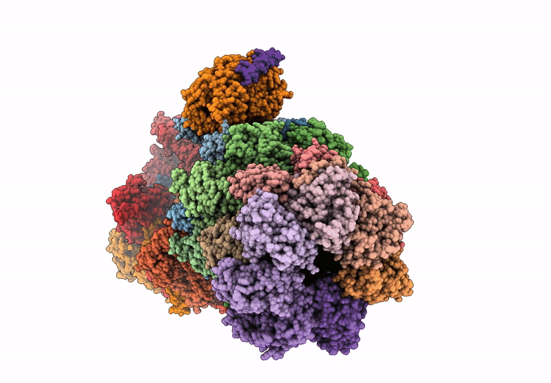 9BV3 image