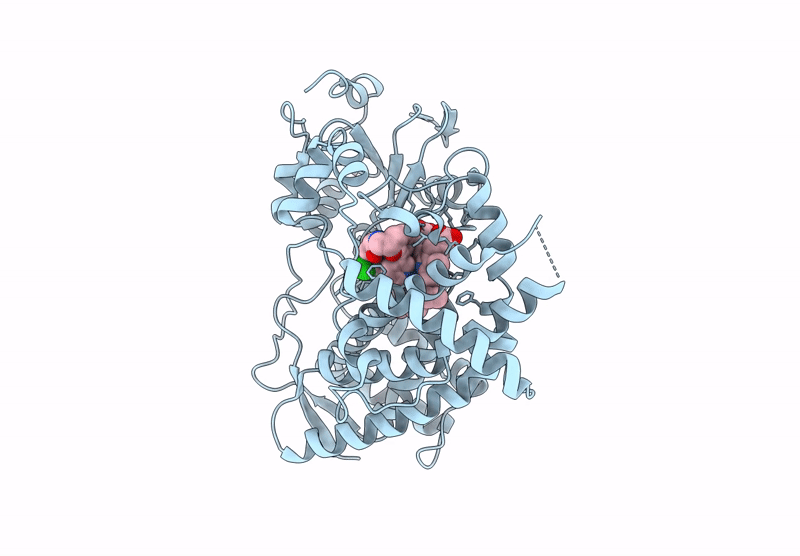 9BV7 image