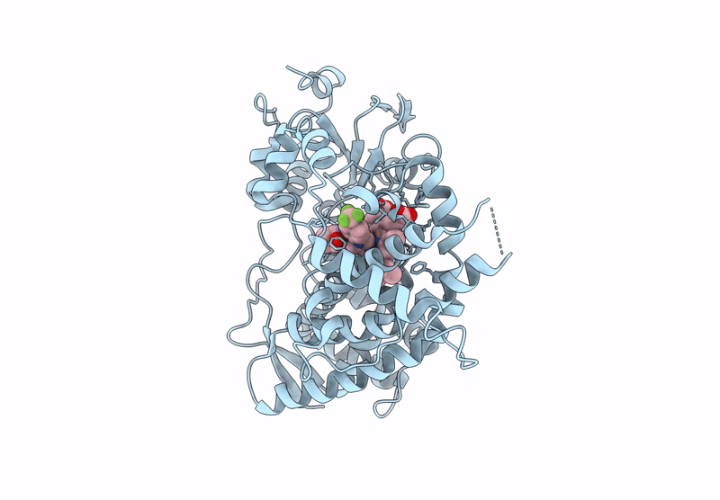 9BV8 image