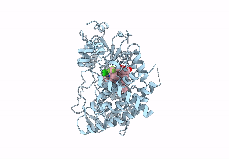 9BV9 image