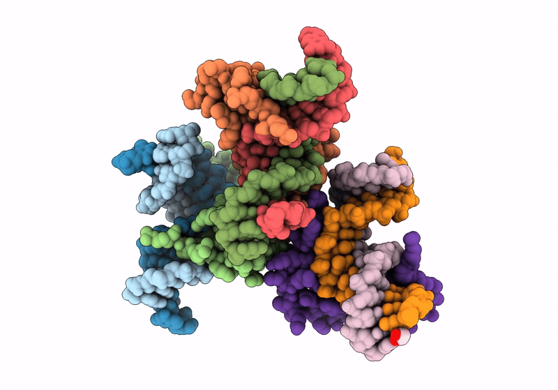 9BVD image