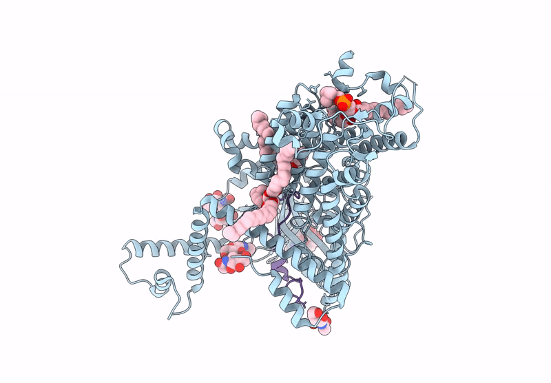 9BVP image