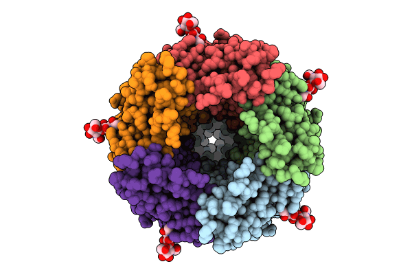 9BWB image