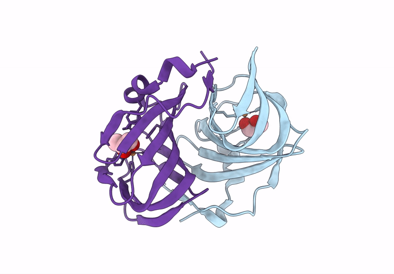 9BWH image