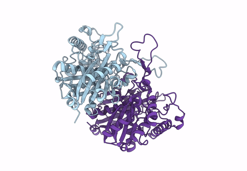 9BWK image
