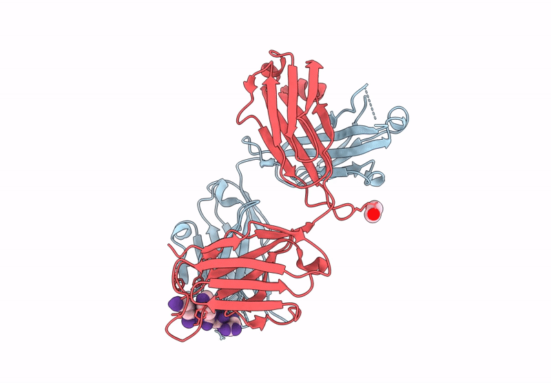 9BX5 image