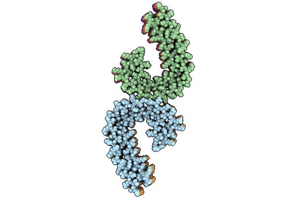 9BXI image