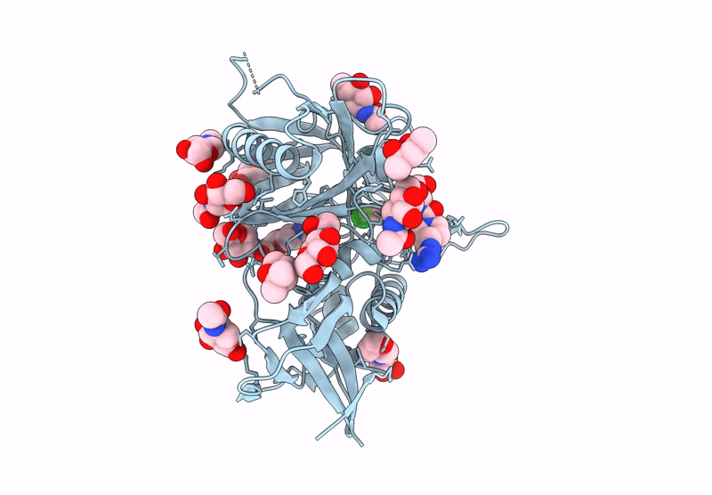9BXW image