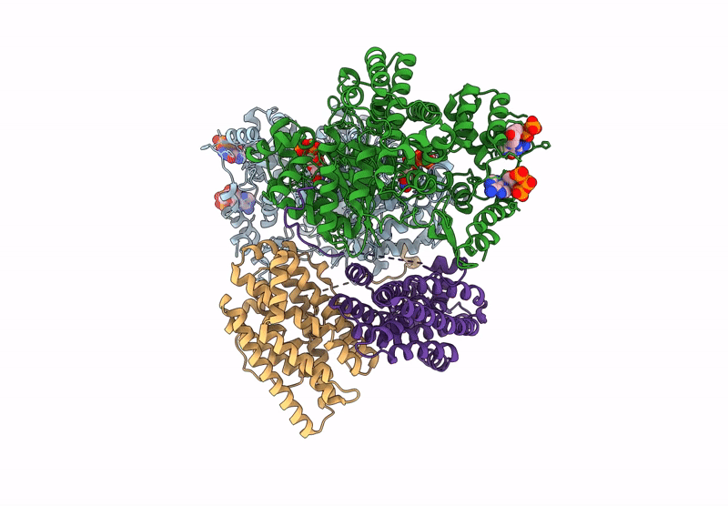 9BYD image