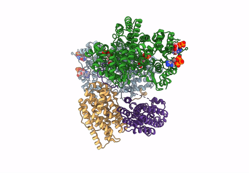 9BZM image