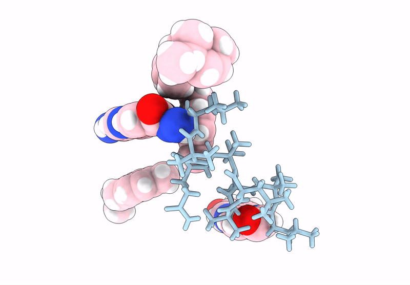 9C04 image