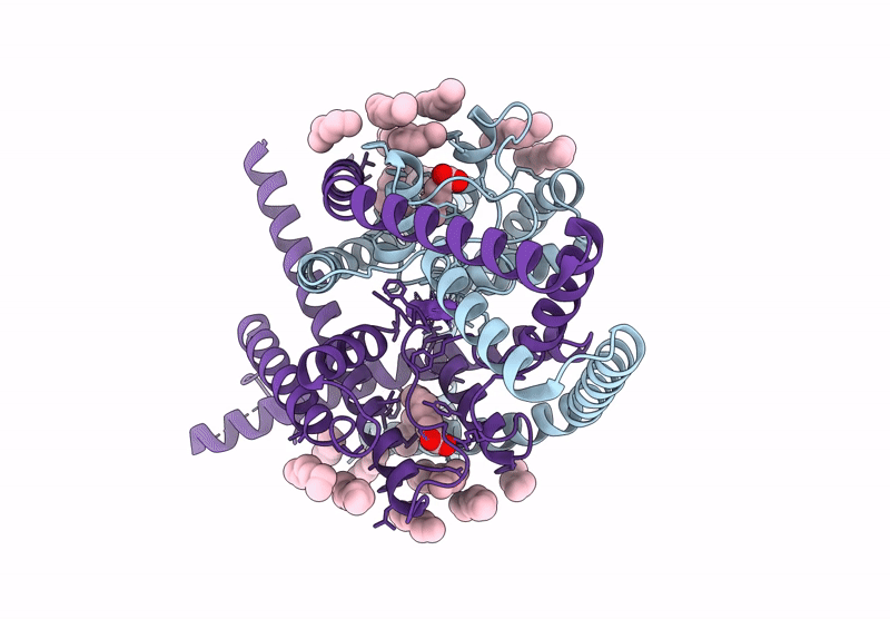 9C09 image
