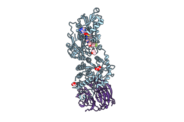 9C10 image