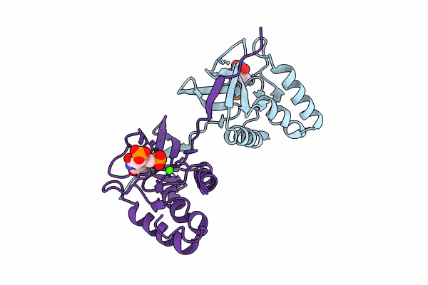 9C11 image