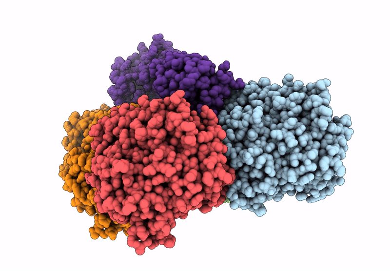 9C13 image