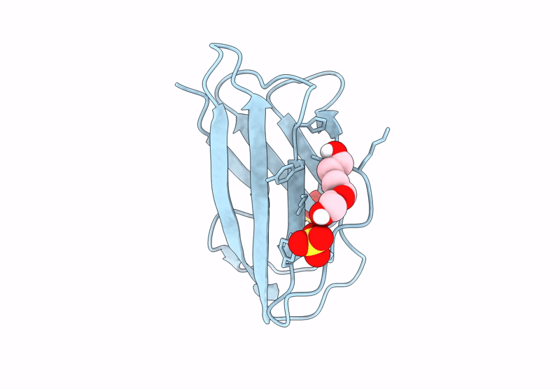 9C14 image