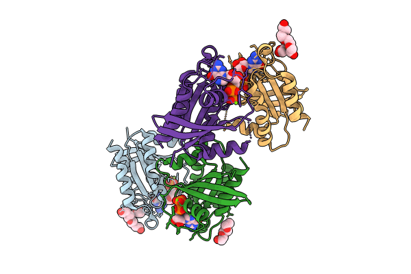 9C1B image