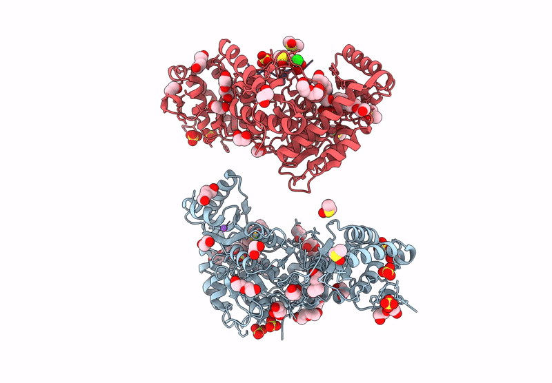 9C1D image