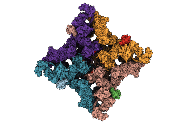 9C1F image