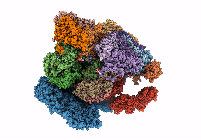 9C1G image
