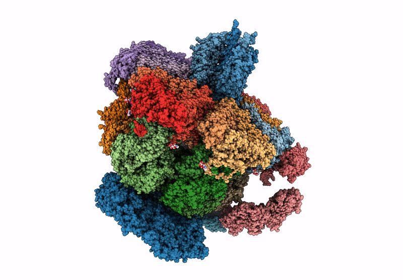 9C1J image