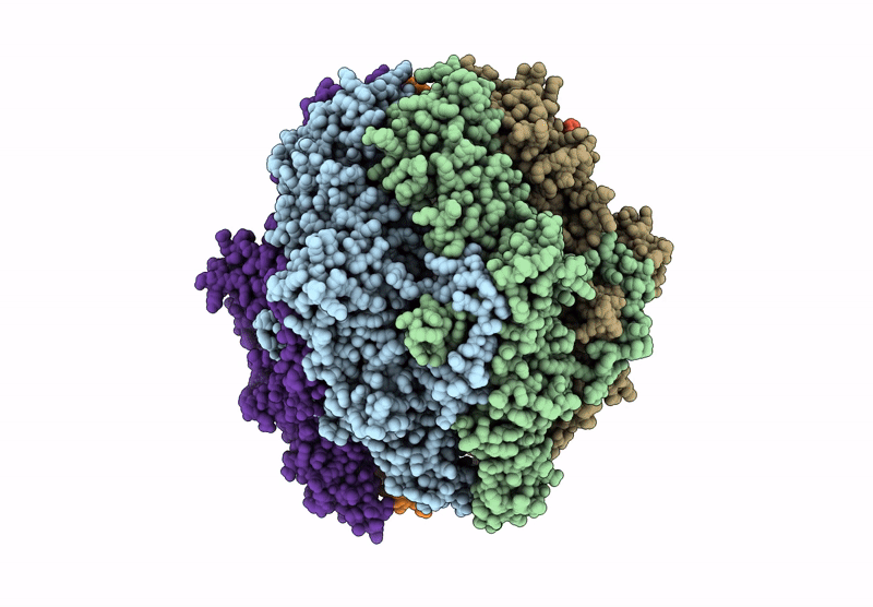 9C1O image