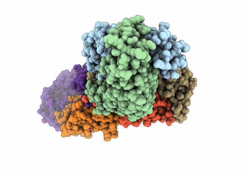 9C1S image