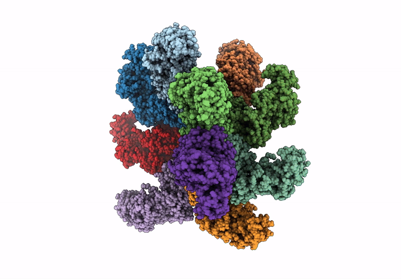 9C1X image