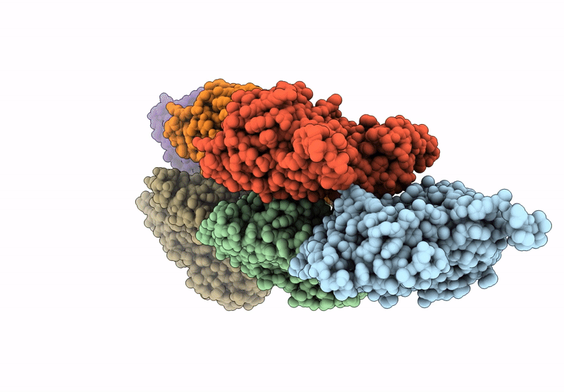 9C21 image