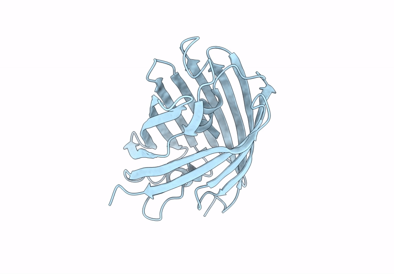 9C26 image