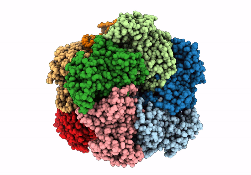 9C28 image