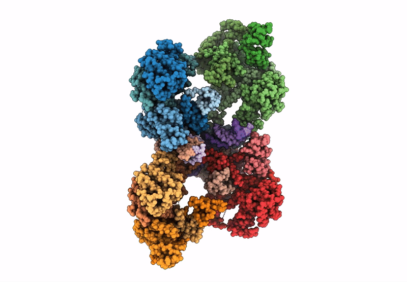 9C29 image