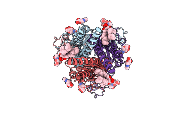 9C2A image