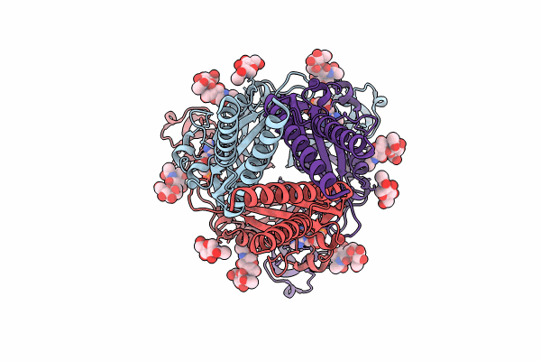 9C2B image