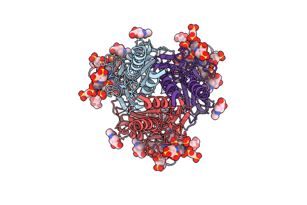 9C2C image