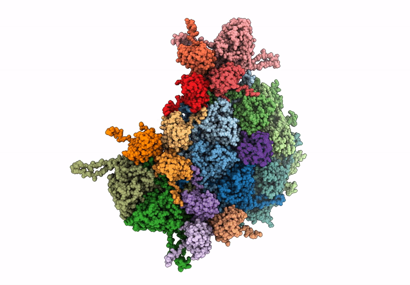 9C2D image