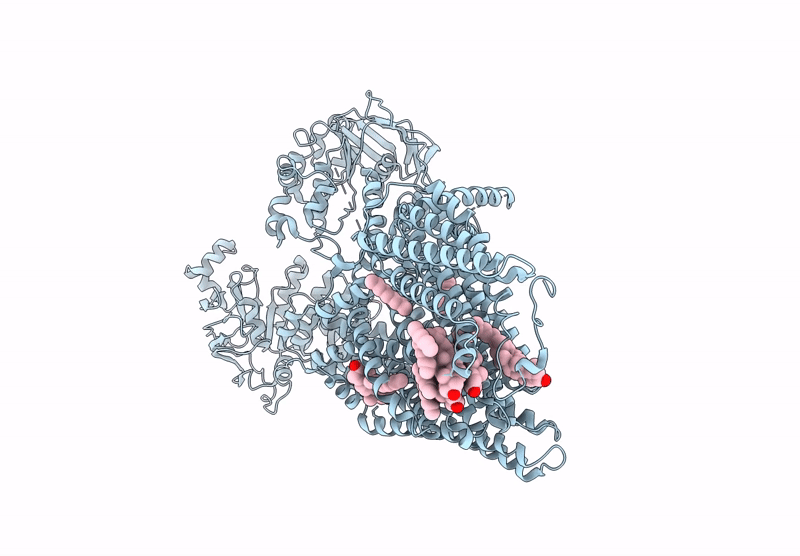 9C2I image