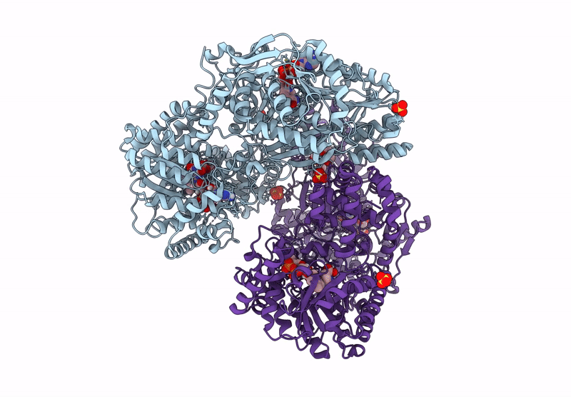 9C34 image