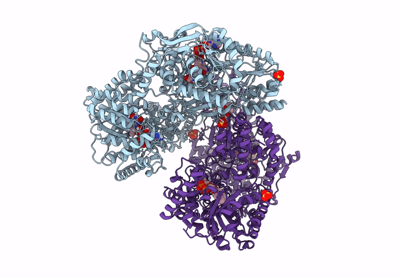 9C35 image