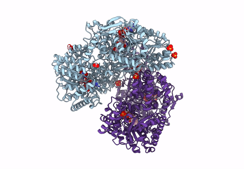 9C36 image