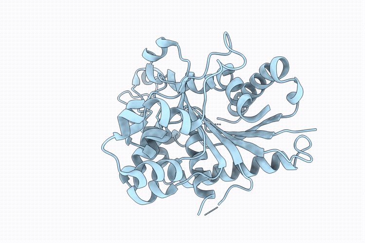 9C37 image
