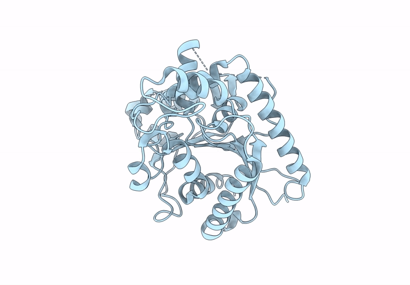 9C38 image
