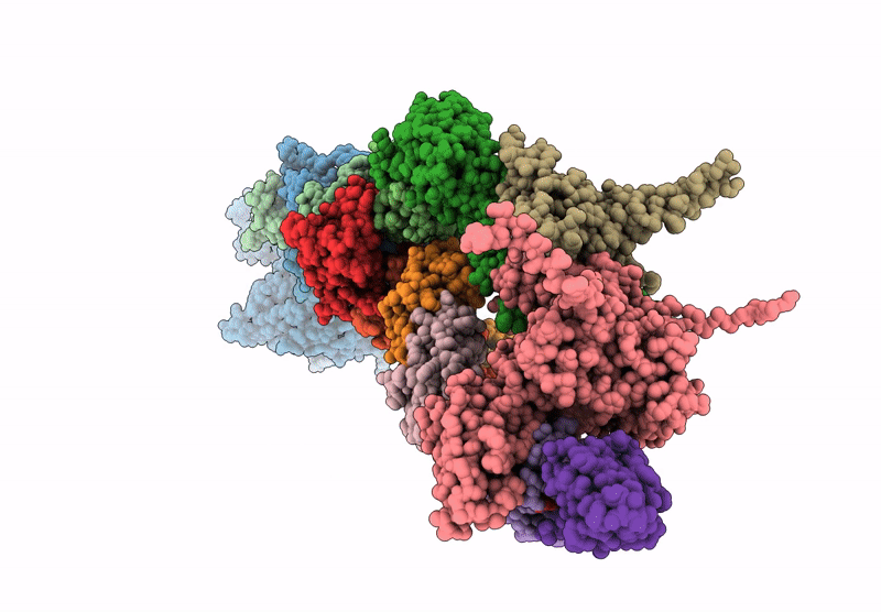 9C39 image