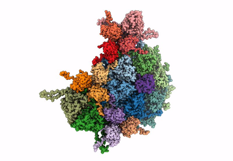 9C3A image
