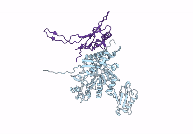 9C3B image